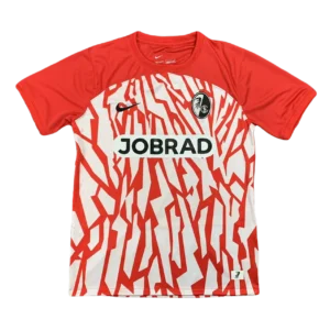 SC Freiburg 23/24 Home Fans