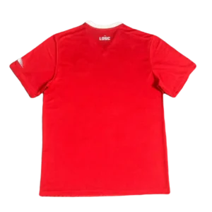LOSC Lille 23/24 Home Fans